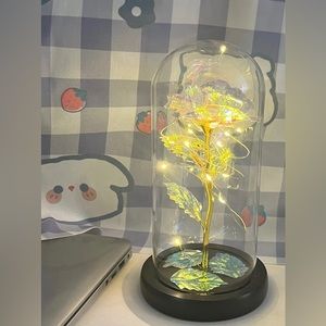 Light Up Rose in Glass Dome